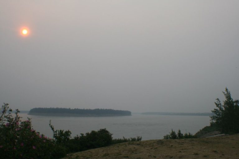 Wildfire Smoke Chemistry Changes as Plumes Age Smoke rising from a forest fire